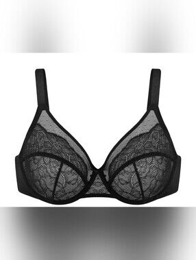HSIA Sheer Black Lace Underwire Bra for Women